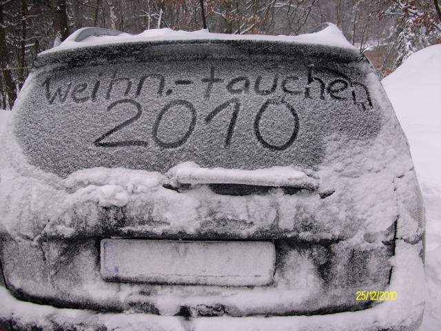 Weihnachtstauchen 2010